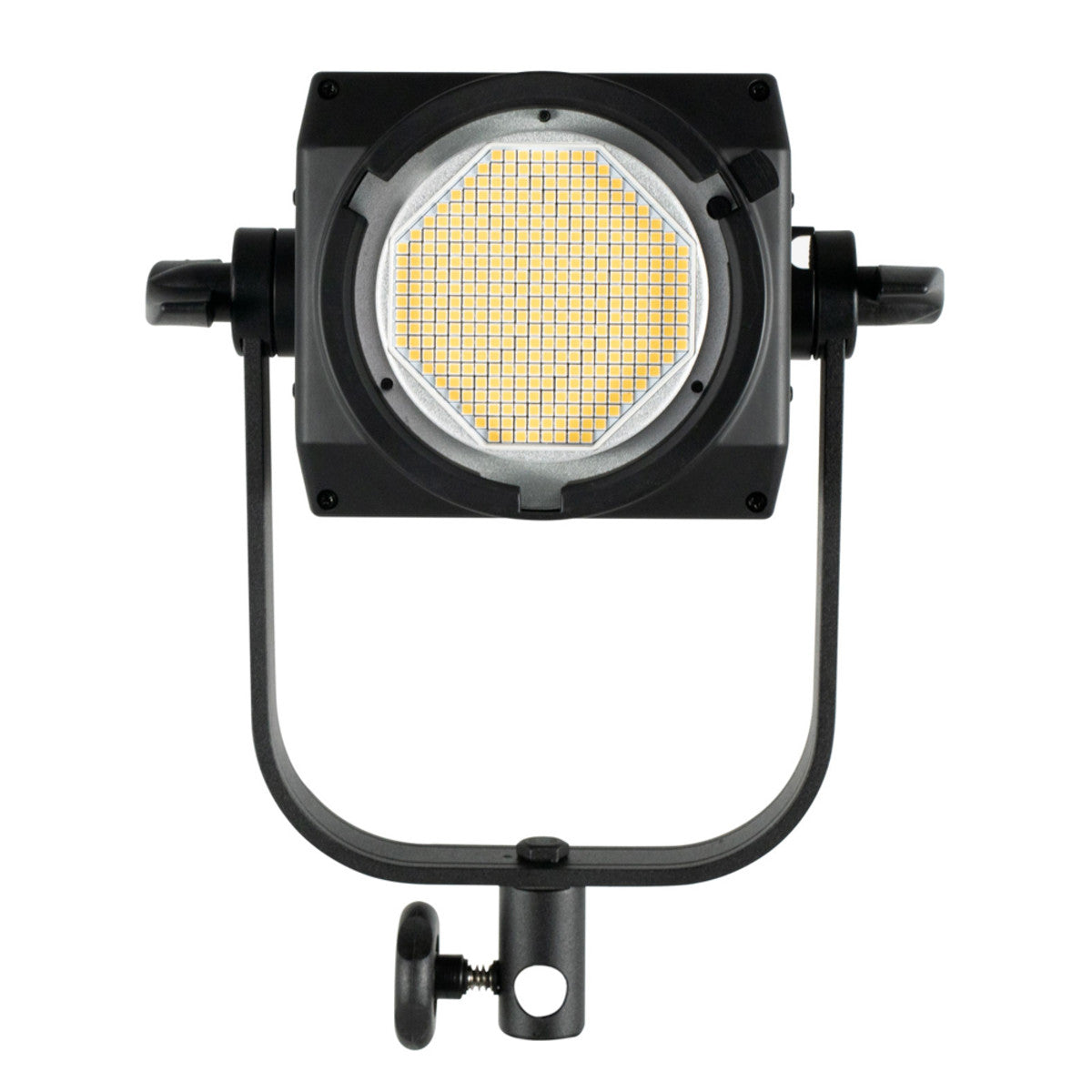 Nanlite FS-300 AC LED Spotlight